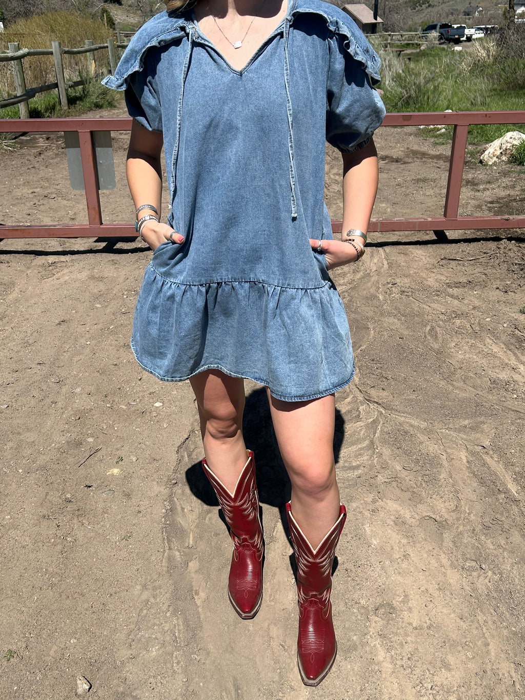 Canyon Rose Denim Dress