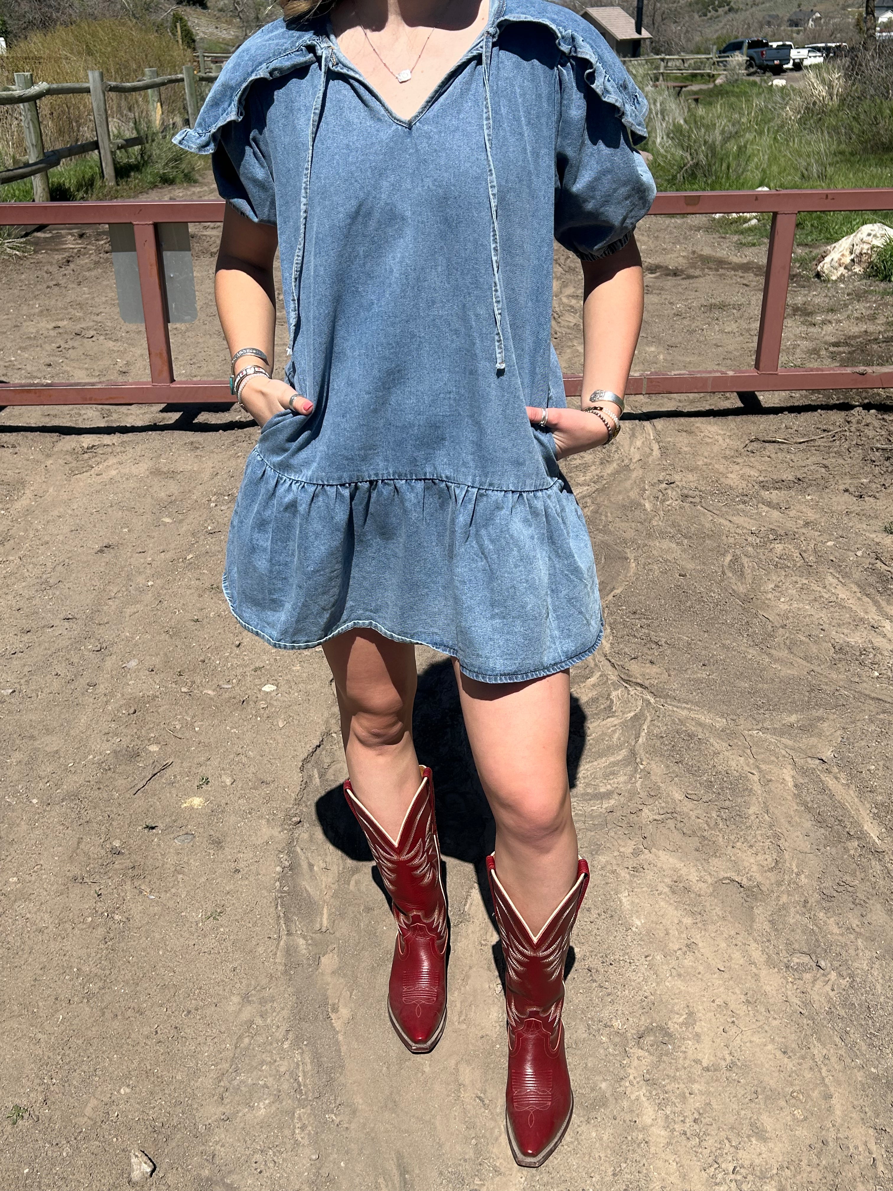 Canyon Rose Denim Dress