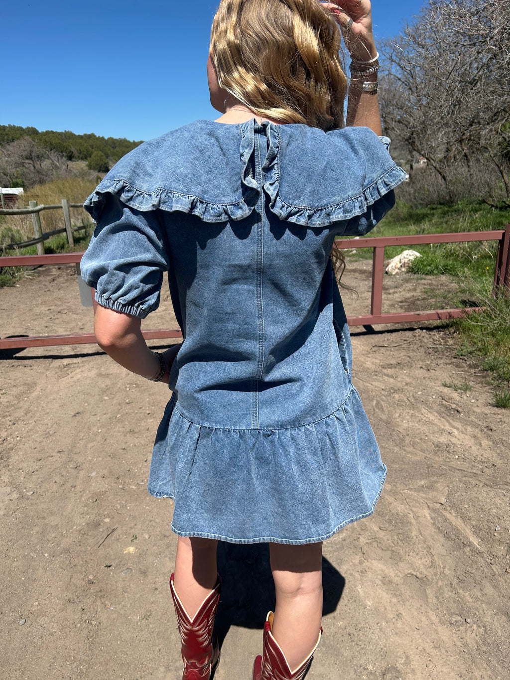 Canyon Rose Denim Dress