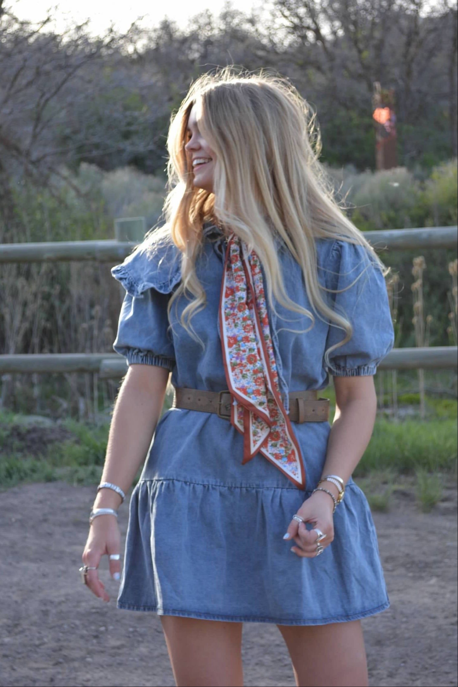 Canyon Rose Denim Dress